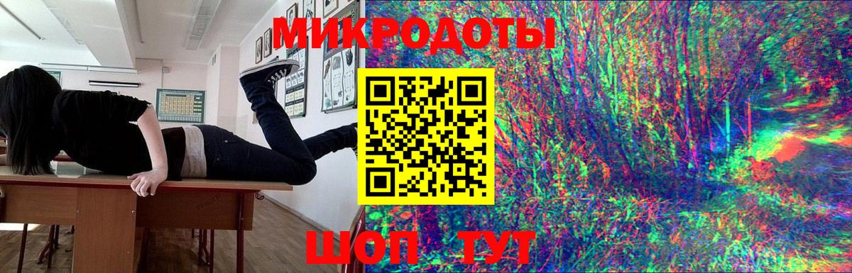 Галлюциногенные грибы Psilocybe Туймазы